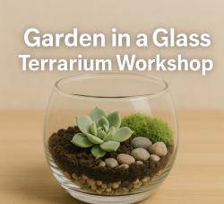 The image for 🌿 Garden in a Glass: Terrarium Workshop